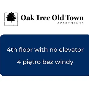 Oak Tree Old Town Cracovia